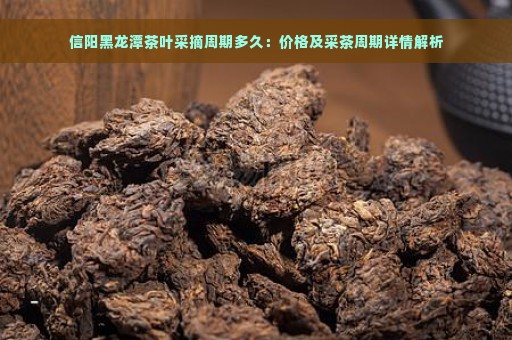 信阳黑龙潭茶叶采摘周期多久：价格及采茶周期详情解析