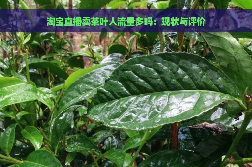 淘宝直播卖茶叶人流量多吗：现状与评价