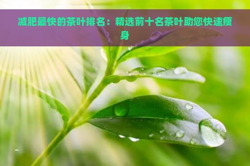 减肥最快的茶叶排名：精选前十名茶叶助您快速瘦身