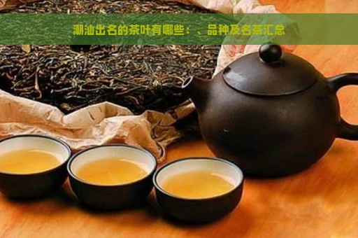 潮汕出名的茶叶有哪些：、品种及名茶汇总