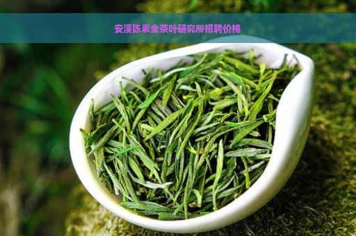 安溪陈素全茶叶研究所招聘价格