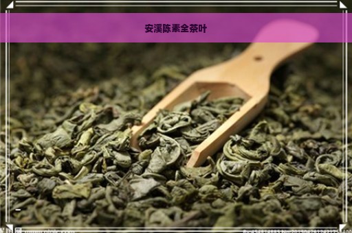 安溪陈素全茶叶