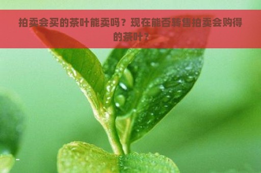 拍卖会买的茶叶能卖吗？现在能否转售拍卖会购得的茶叶？