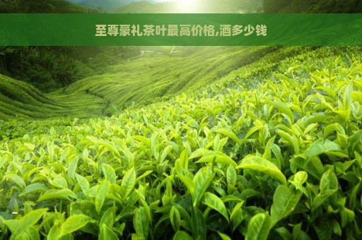 至尊豪礼茶叶最高价格,酒多少钱