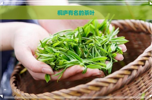 桐庐有名的茶叶