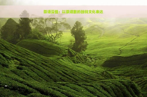 茶语深情：以茶道歉的独特文化表达