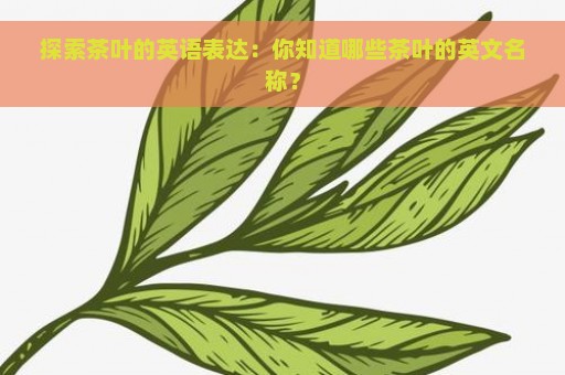 探索茶叶的英语表达：你知道哪些茶叶的英文名称？