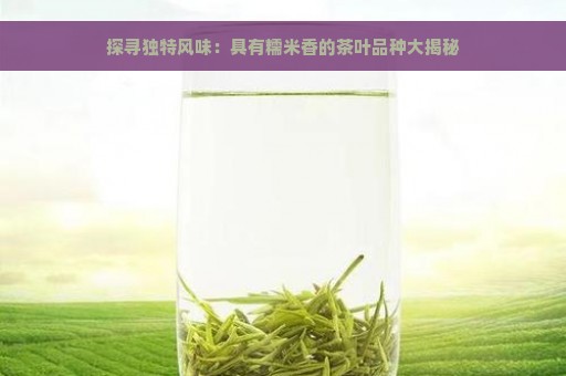 探寻独特风味：具有糯米香的茶叶品种大揭秘