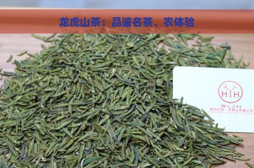 龙虎山茶：品鉴名茶、农体验