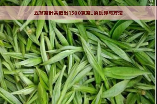 五盒茶叶共取出1500克茶葉的乐趣与方法