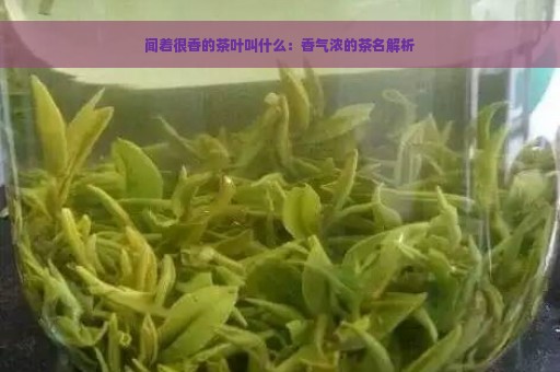 闻着很香的茶叶叫什么：香气浓的茶名解析