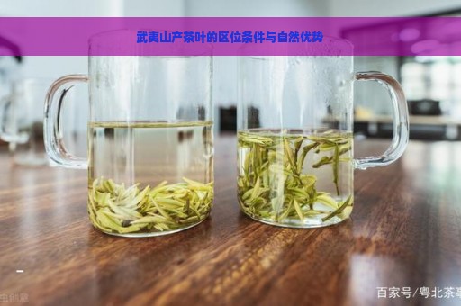 武夷山产茶叶的区位条件与自然优势