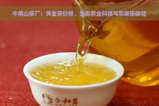 牛角山茶厂：黄金茶价格、生态农业科技与农家乐体验