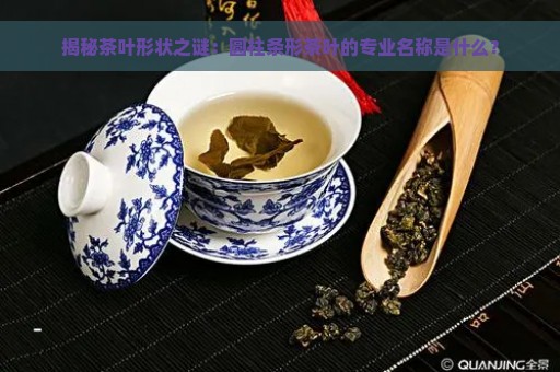 揭秘茶叶形状之谜：圆柱条形茶叶的专业名称是什么？