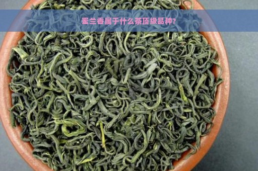 蜜兰香属于什么茶顶级品种?