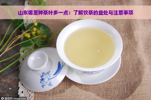 山东哪里种茶叶多一点：了解饮茶的益处与注意事项