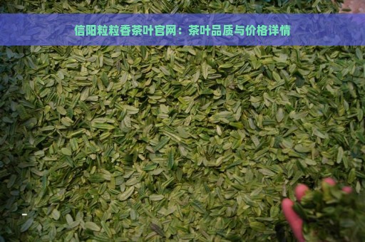 信阳粒粒香茶叶官网：茶叶品质与价格详情