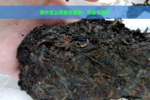 茶叶怎么辨真伪鉴别：方法与技巧