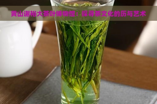 黄山谢裕大茶叶博物馆：探寻茶文化的历与艺术