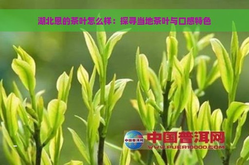 湖北恩的茶叶怎么样：探寻当地茶叶与口感特色