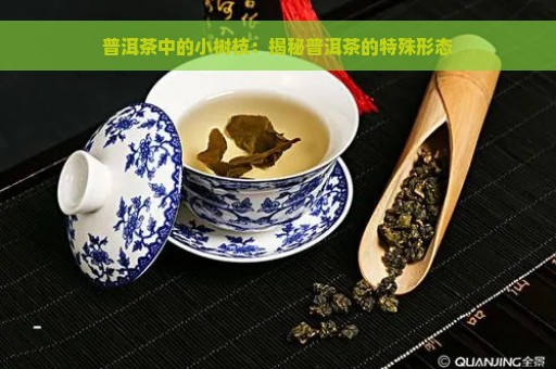 普洱茶中的小树枝：揭秘普洱茶的特殊形态