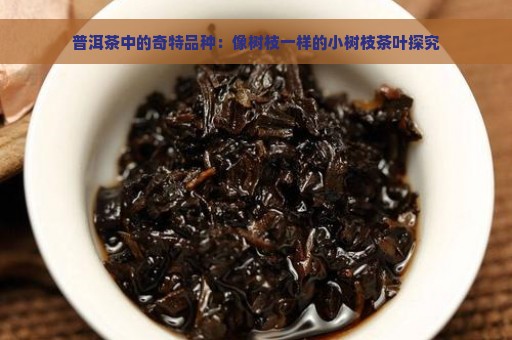 普洱茶中的奇特品种：像树枝一样的小树枝茶叶探究