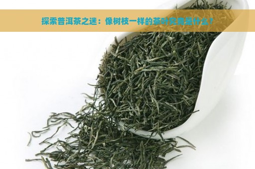 探索普洱茶之迷：像树枝一样的茶叶究竟是什么？