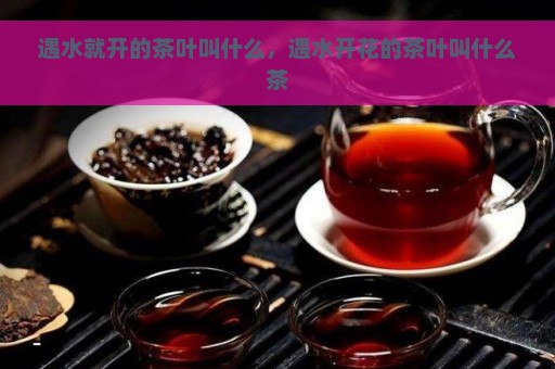 遇水就开的茶叶叫什么，遇水开花的茶叶叫什么茶