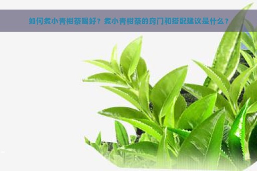 如何煮小青柑茶喝好？煮小青柑茶的窍门和搭配建议是什么？