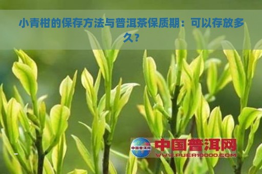 小青柑的保存方法与普洱茶保质期：可以存放多久？