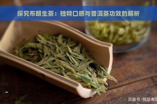 探究布朗生茶：独特口感与普洱茶功效的解析