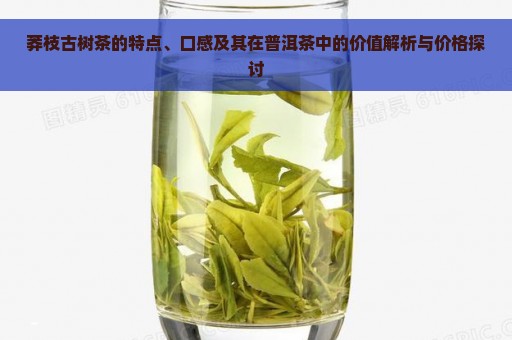 莽枝古树茶的特点、口感及其在普洱茶中的价值解析与价格探讨