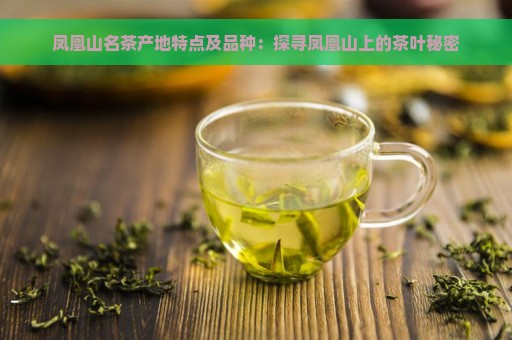 凤凰山名茶产地特点及品种：探寻凤凰山上的茶叶秘密