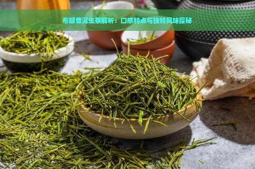 布朗普洱生茶解析：口感特点与独特风味探秘