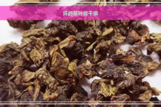 坏的茶叶能干嘛