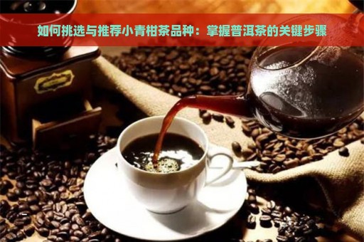 如何挑选与推荐小青柑茶品种：掌握普洱茶的关键步骤