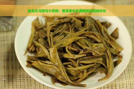 新会天马柑与小青柑：普洱茶中的两种独特风味对比