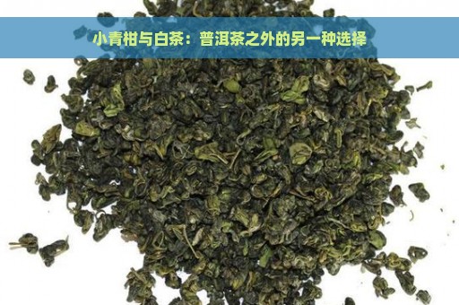 小青柑与白茶：普洱茶之外的另一种选择