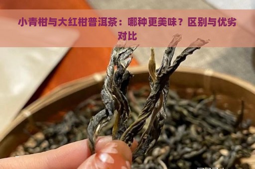 小青柑与大红柑普洱茶：哪种更美味？区别与优劣对比