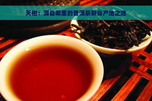 天柑：源自哪里的普洱茶新会产地之选