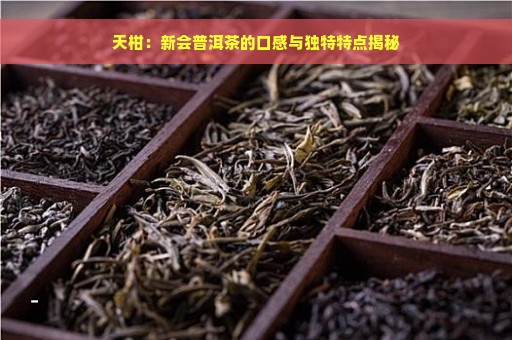 天柑：新会普洱茶的口感与独特特点揭秘