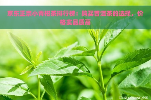 京东正宗小青柑茶排行榜：购买普洱茶的选择，价格实品质高