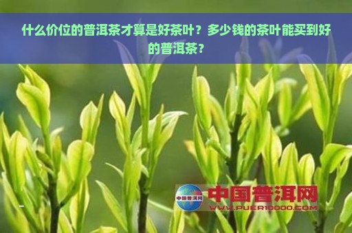 什么价位的普洱茶才算是好茶叶？多少钱的茶叶能买到好的普洱茶？