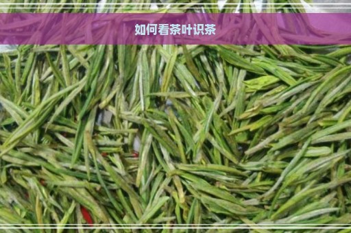 如何看茶叶识茶