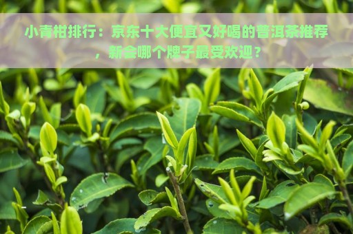 小青柑排行：京东十大便宜又好喝的普洱茶推荐，新会哪个牌子最受欢迎？