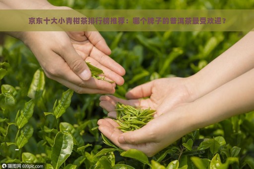 京东十大小青柑茶排行榜推荐：哪个牌子的普洱茶最受欢迎？