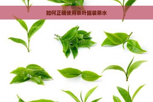 如何正确使用茶叶罐装茶水