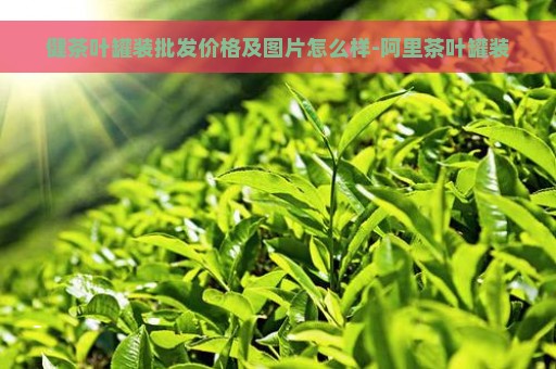 健茶叶罐装批发价格及图片怎么样-阿里茶叶罐装