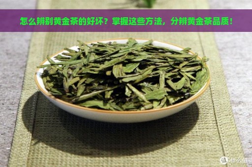 怎么辨别黄金茶的好坏？掌握这些方法，分辨黄金茶品质！