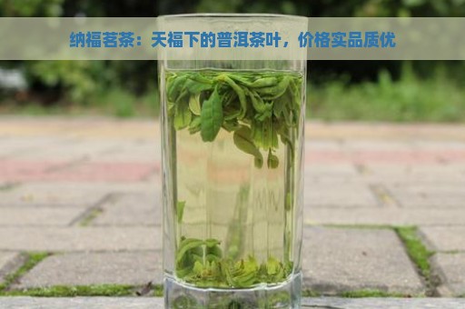 纳福茗茶：天福下的普洱茶叶，价格实品质优